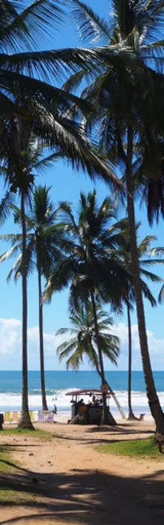 Farbenfrohes Brasilien, von Sao Paulo bis Natal